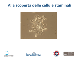 MAC  - EuroStemCell