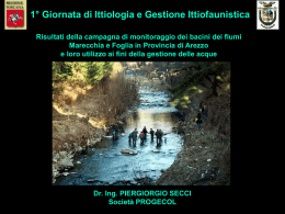Disponibile in formato Power Point
