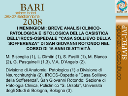 124 - M.Bisceglia, L.Dimitri, et al.