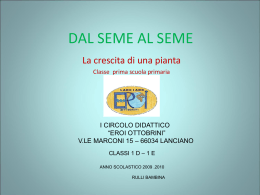 DAL SEME AL SEME - Portale Sangro Aventino