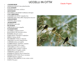 UCCELLI IN CITTA` - Universit&agrave; degli studi di Pavia