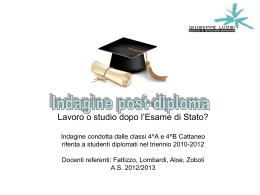 Indagine post-diploma 2012 / 2013