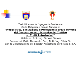 Modelli di Traffico Veicolare