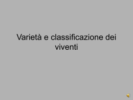 classificazione 1