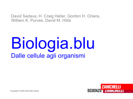 meiosi - IIS Cartesio Luxemburg