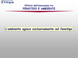 Selezione - Virgilio Siti Xoom