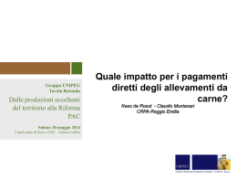 Tavola rotonda UNIPEG 10 Maggio 2014 De Roest