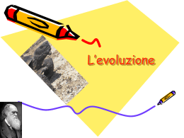L`evoluzione