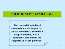 secondo ciclo rsu e prerogative sindacali