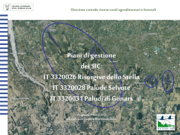 Scarica interventi dei relatori - Regione Autonoma Friuli Venezia