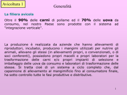 L`Unione Nazionale dell`Avicoltura