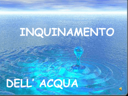 Inquinamento dell`acqua