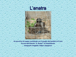 L`anatra - Le parole della scienza