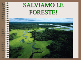 SALVIAMO LE FORESTE! Marchetti