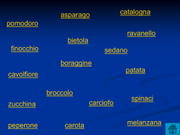verdura - Istituto Comprensivo di Santo Stefano Belbo