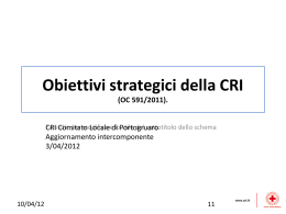 Obiettivi strategici della CRi gava