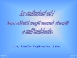 INQUINAMENTO ELETTROMAGNETICO