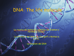 DNA si the Way