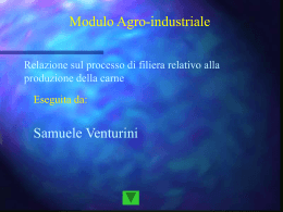La carne - Tursiops