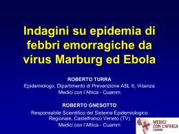 Scarica il ppt di R. Turra, R. Gnesotto