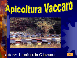 Nessun titolo diapositiva