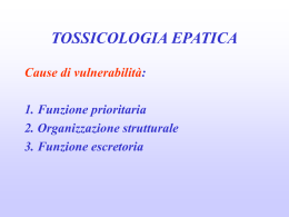 STEATOSI