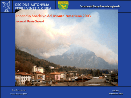 Servizio del Corpo forestale regionale