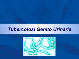 Tubercolosi Genito Urinaria