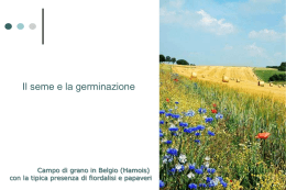 il processo germinativo