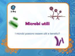 Microbi Buoni (presentazione) - e-Bug