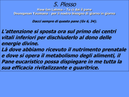 Il plesso solare - Centro Studi Salute