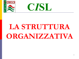 la struttura organizzativa cisl