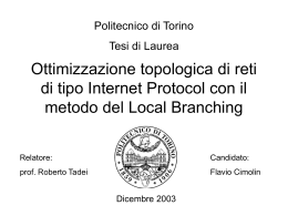 Ottimizzazione topologica di reti di tipo Internet Protocol con il