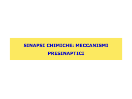Lezione 10