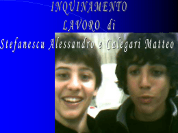 L` inquinamento