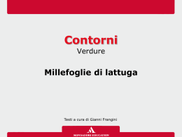 Millefoglie di lattuga