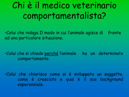 Sei semplici norme per ottenere il massimo dal proprio cane