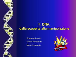 presentazione_DNA