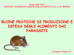 una citta` libera da insetti e ratti vettori di malattie