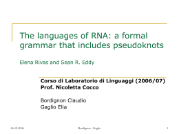 The languages of RNA