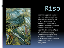 Il riso