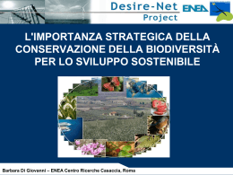 Slide PPT