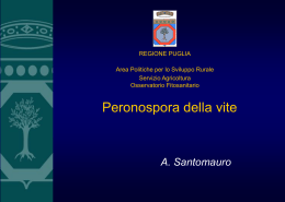 Sicurezza Alimentare e libera circolazione delle derrate