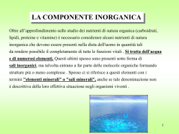 l`acqua