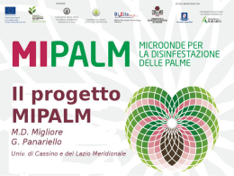 Il progetto MIPALM