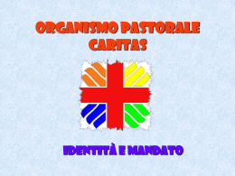 Organismo pastorale caritas