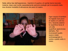 3^ esperienza elettrostatica