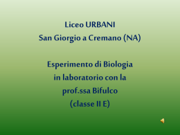 Diapositiva 1 - Liceo Urbani