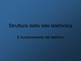 Struttura della rete telefonica - La scienza non &egrave; nient`altro che una