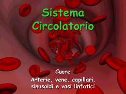 019_Sistema_Circolatorio